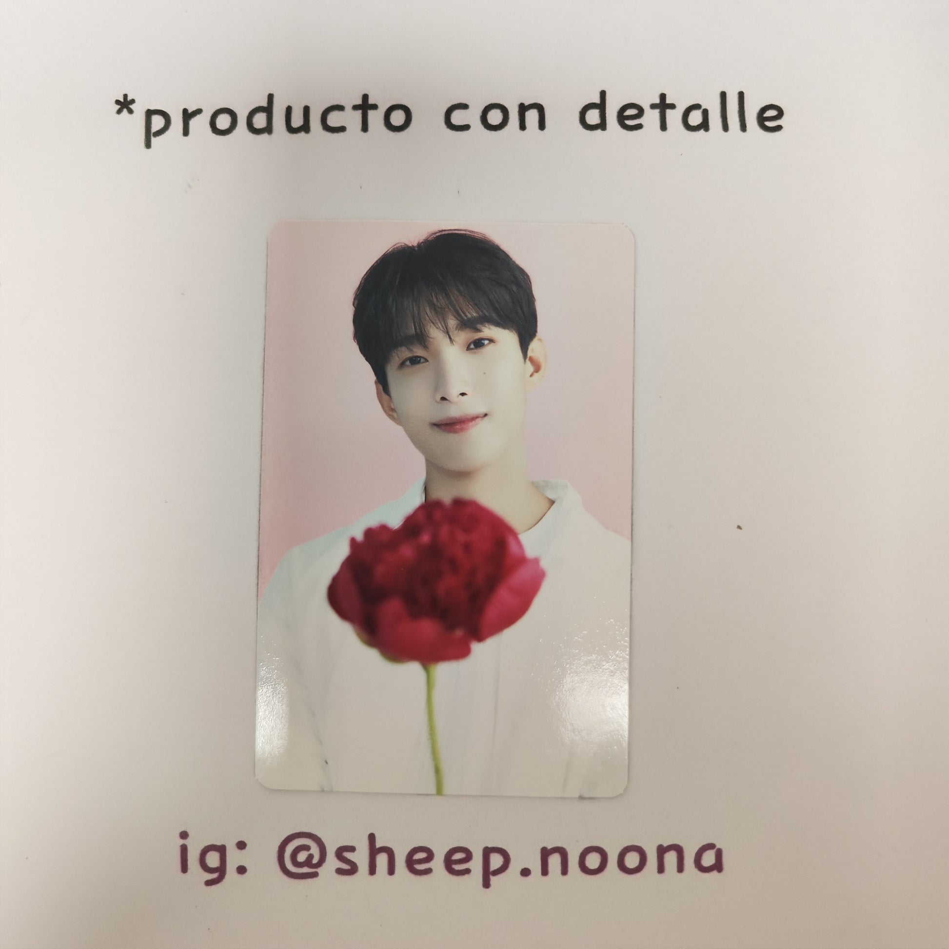 Photocards Wonwoo Seventeen