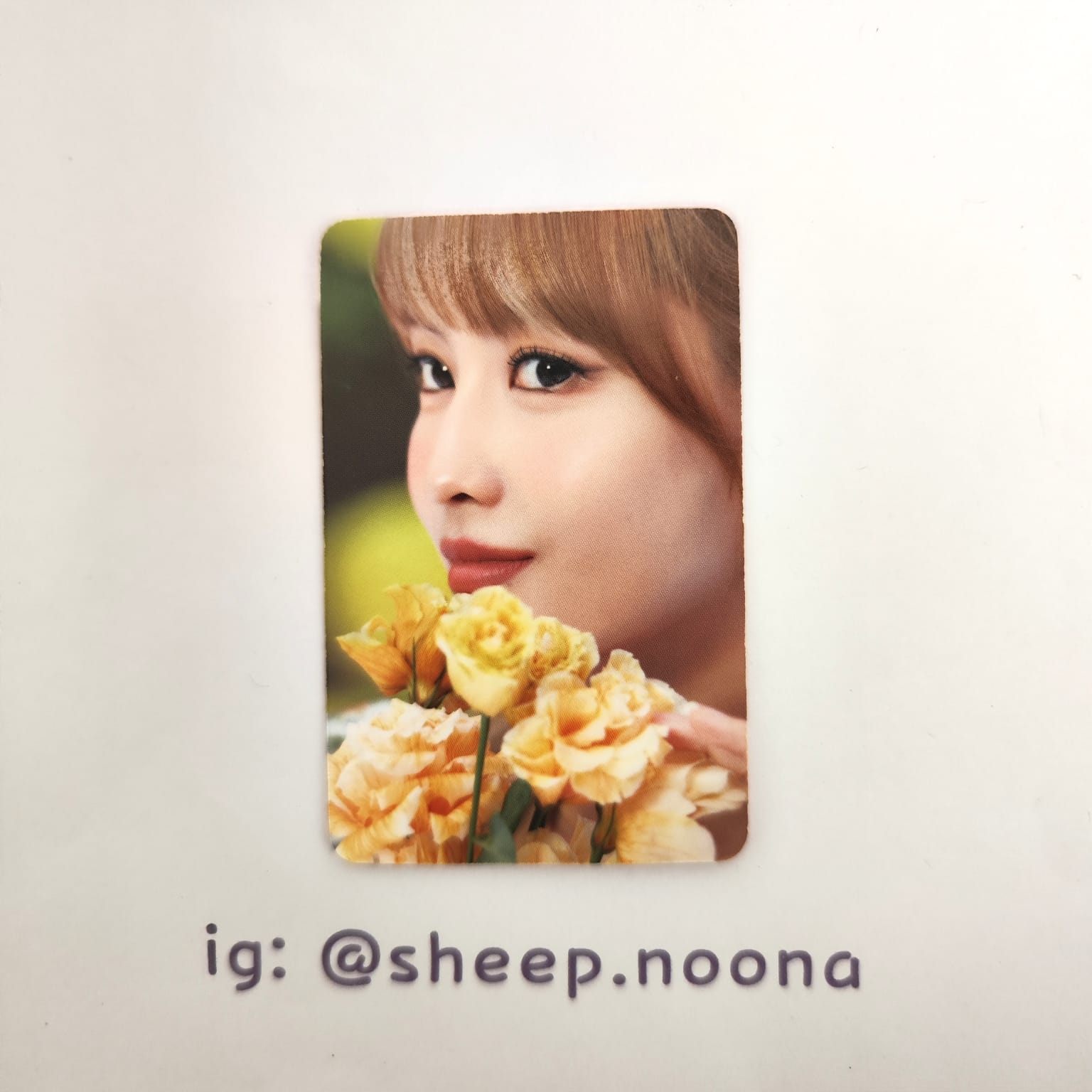 Photocards Momo Twice
