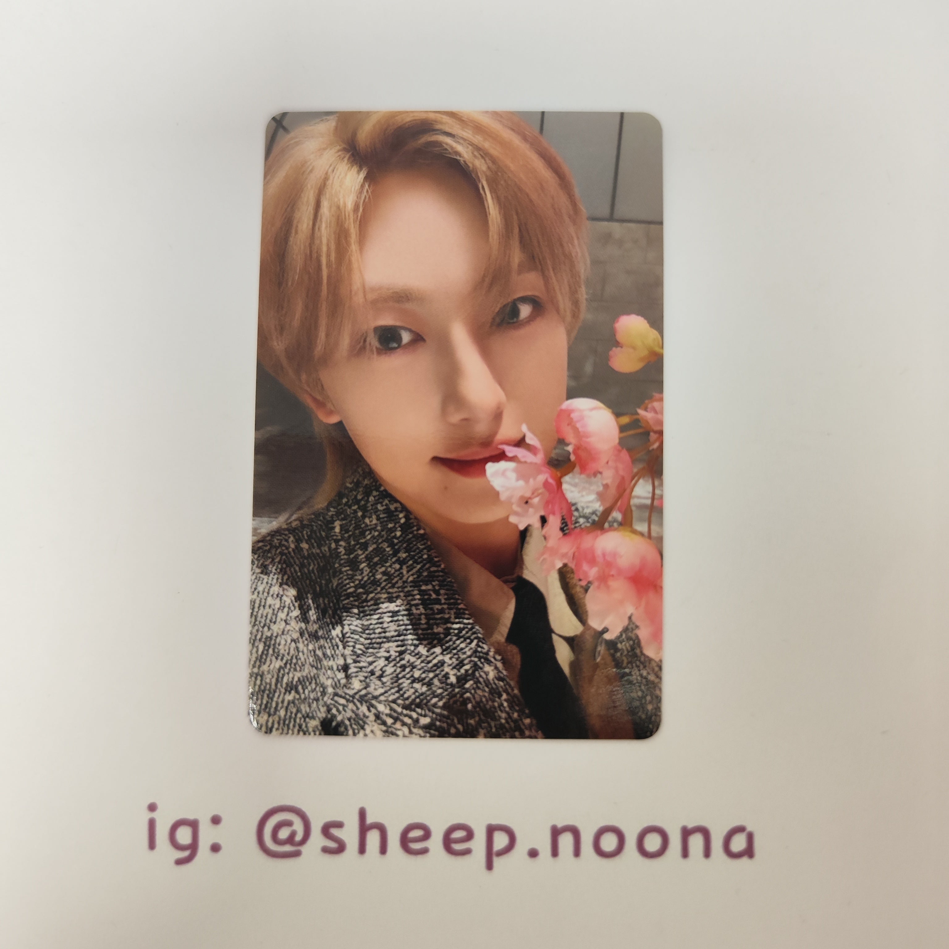 Photocards &team