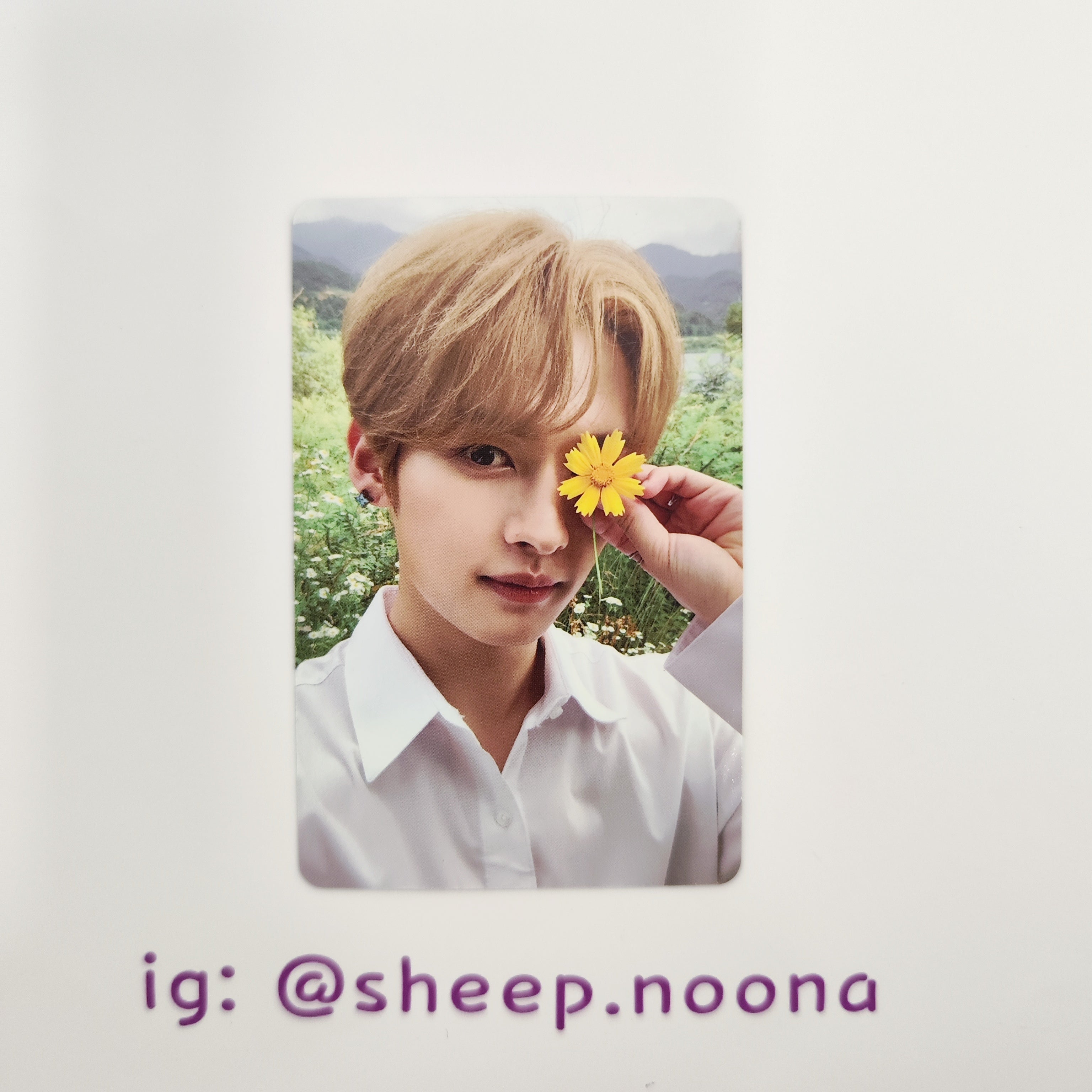 Photocards Lee Know SKZ