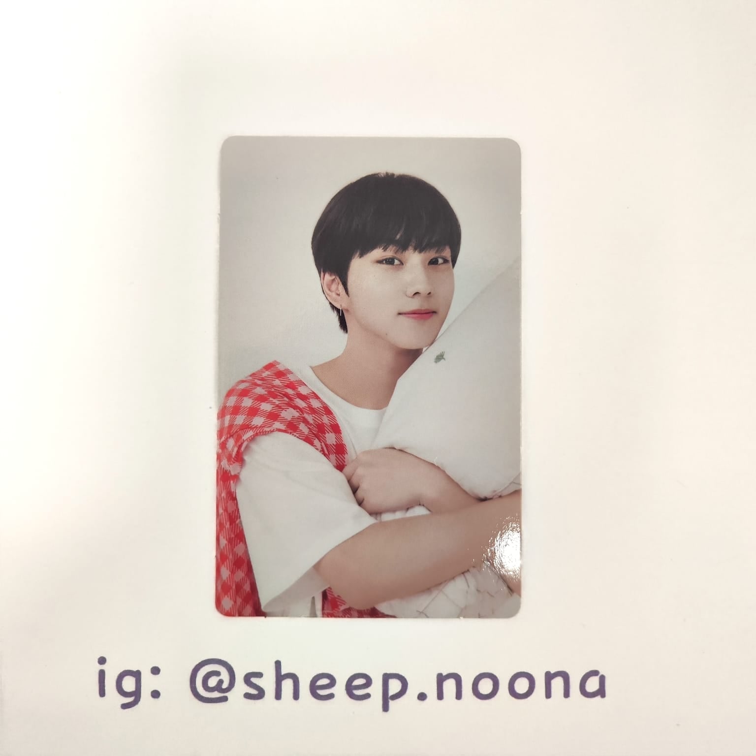 Photocards Jungwon Enhypen