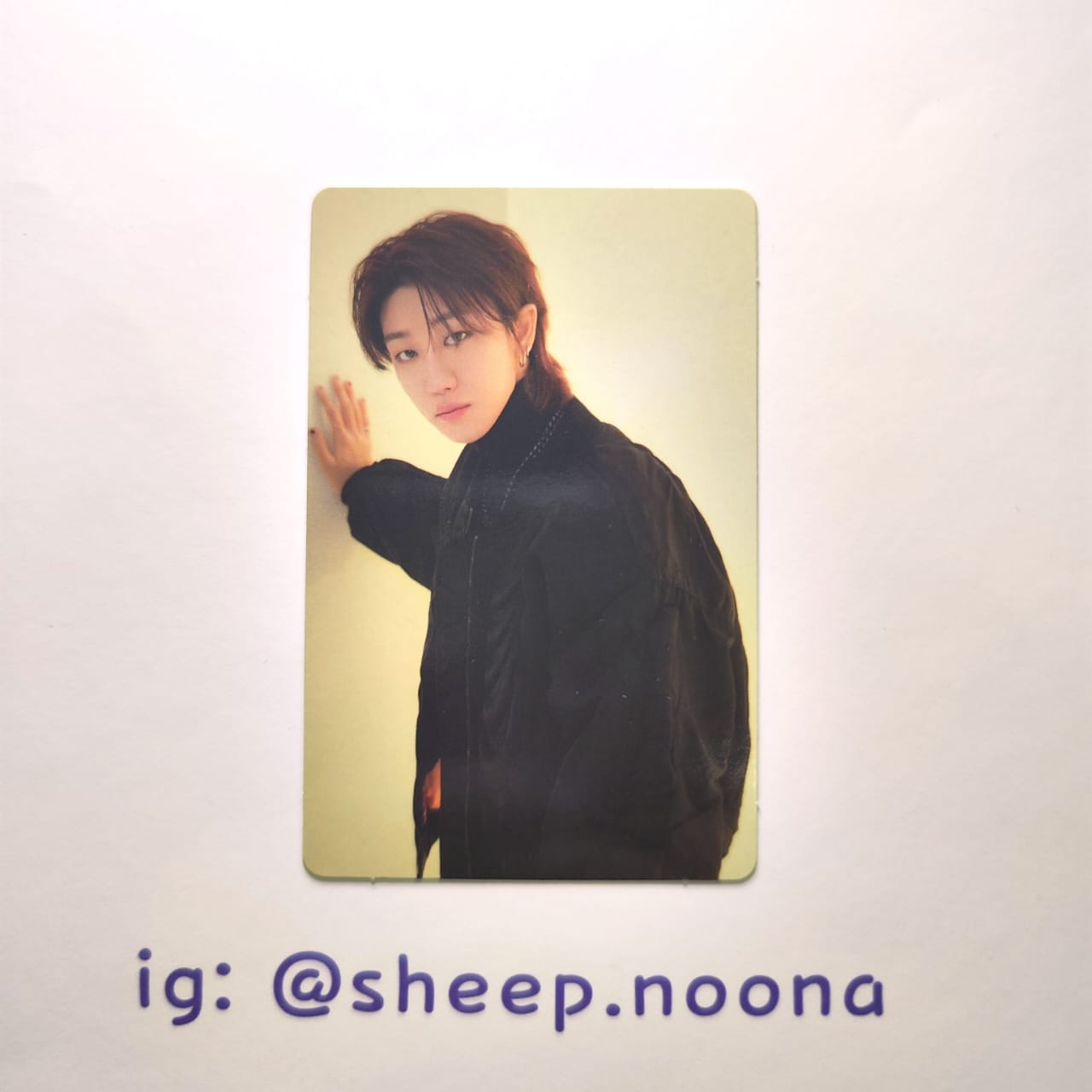 Photocards The8 Seventeen