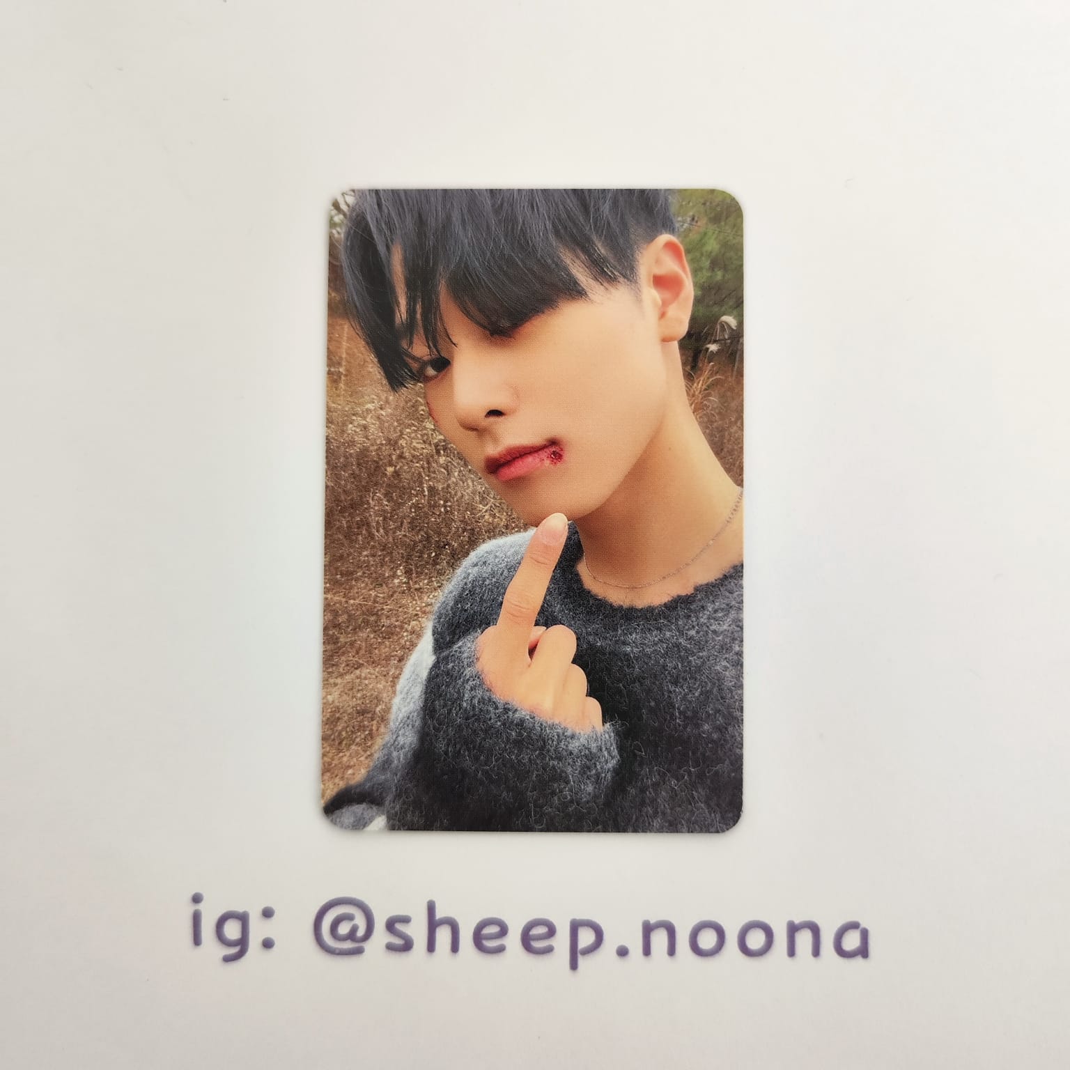 Photocards Juyeon The Boyz
