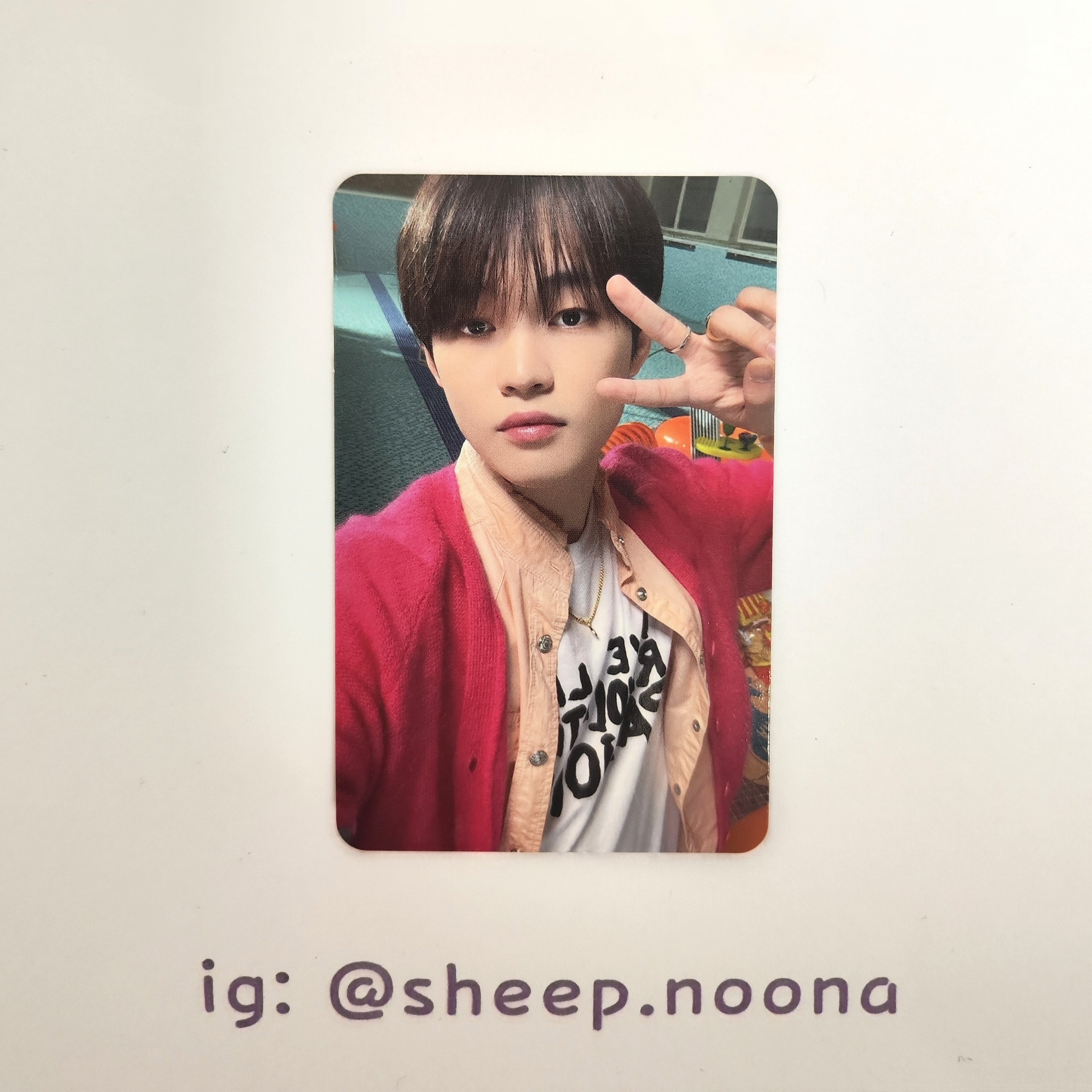 Photocards Chenle NCT Dream