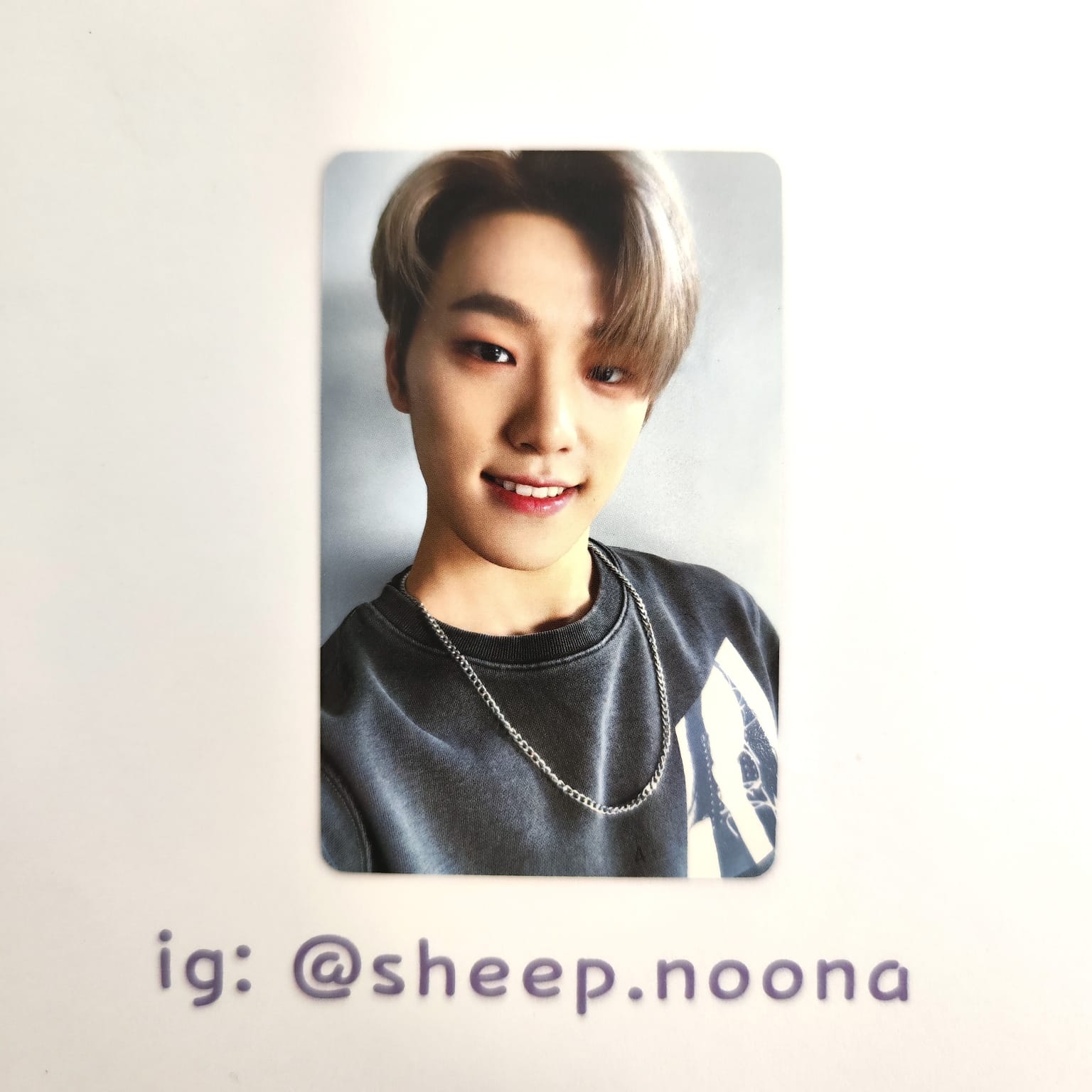 Photocards Dino Seventeen