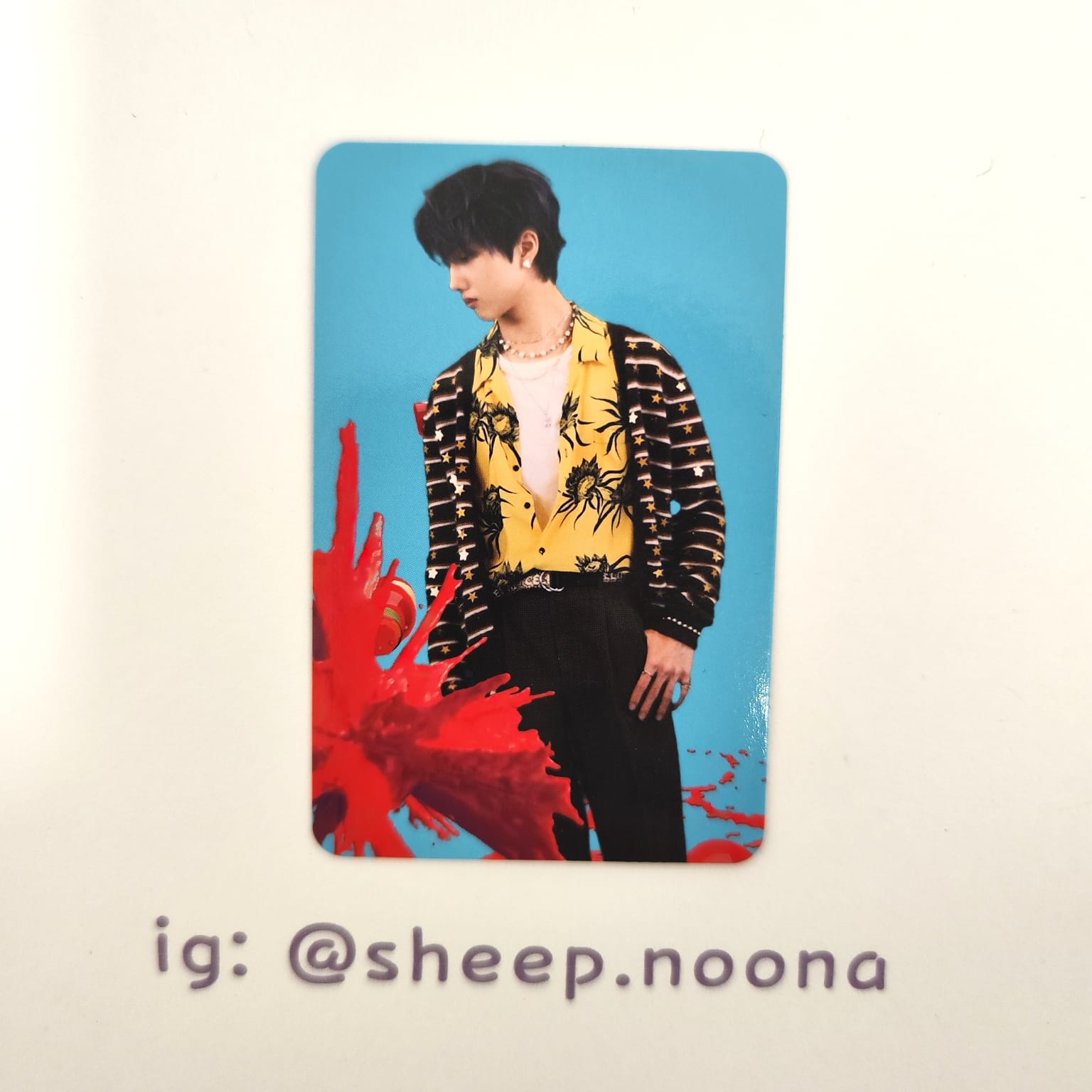Photocards Jisung NCT Dream