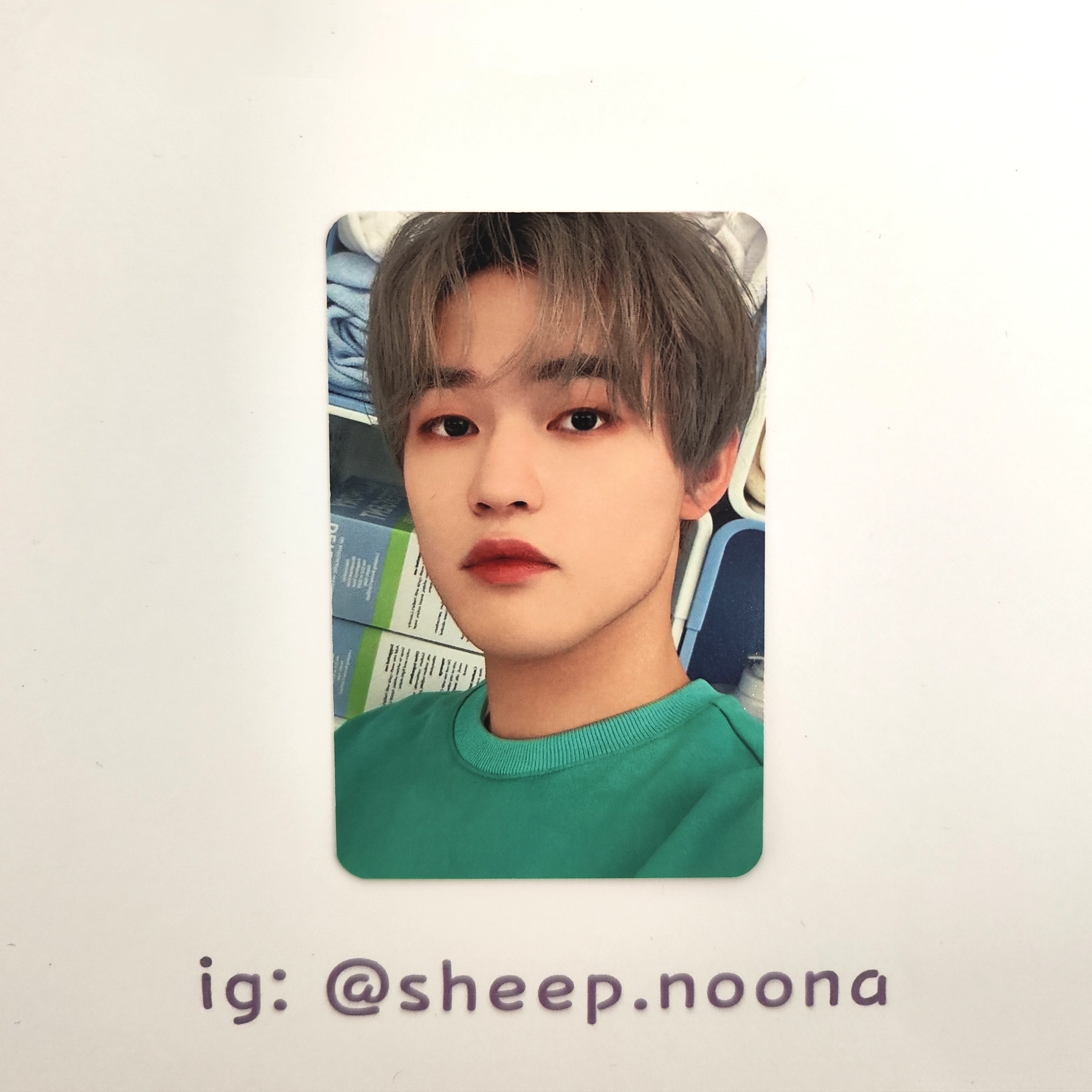 Photocards Chenle NCT Dream