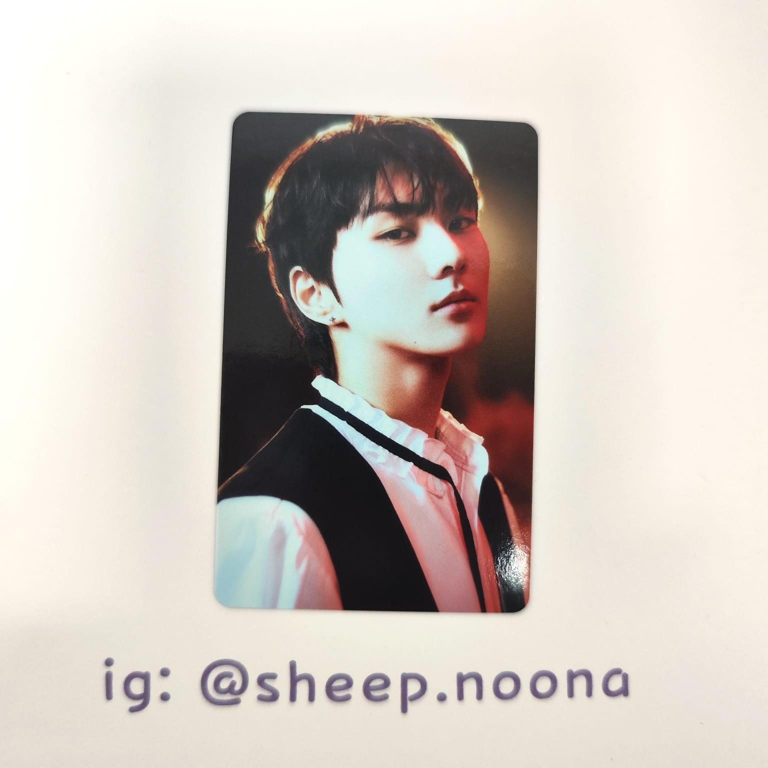 Photocards Jungwon Enhypen