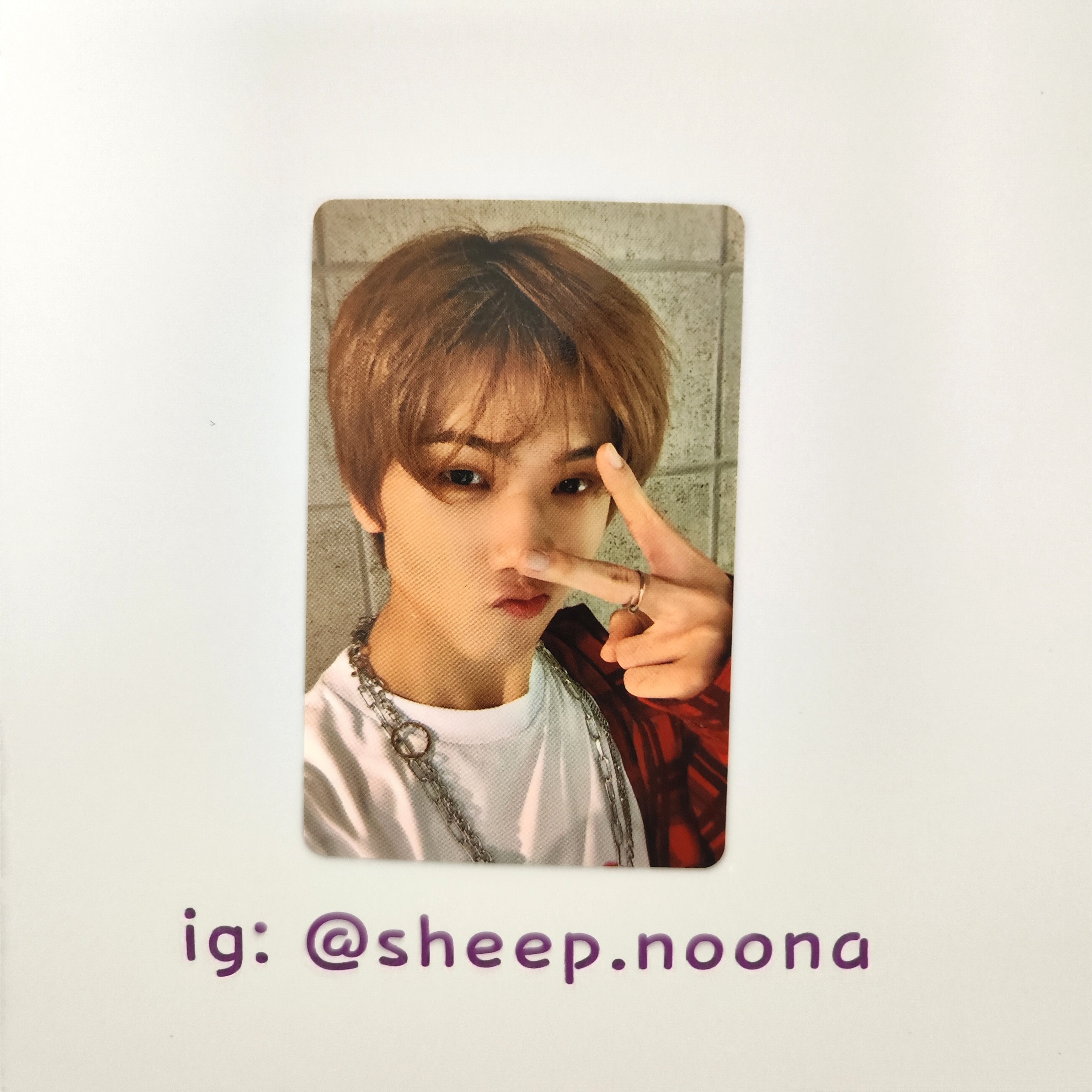 Photocards Jisung NCT Dream