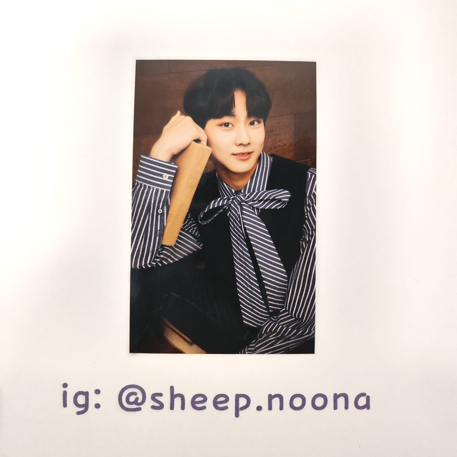 Photocards Jungwon Enhypen