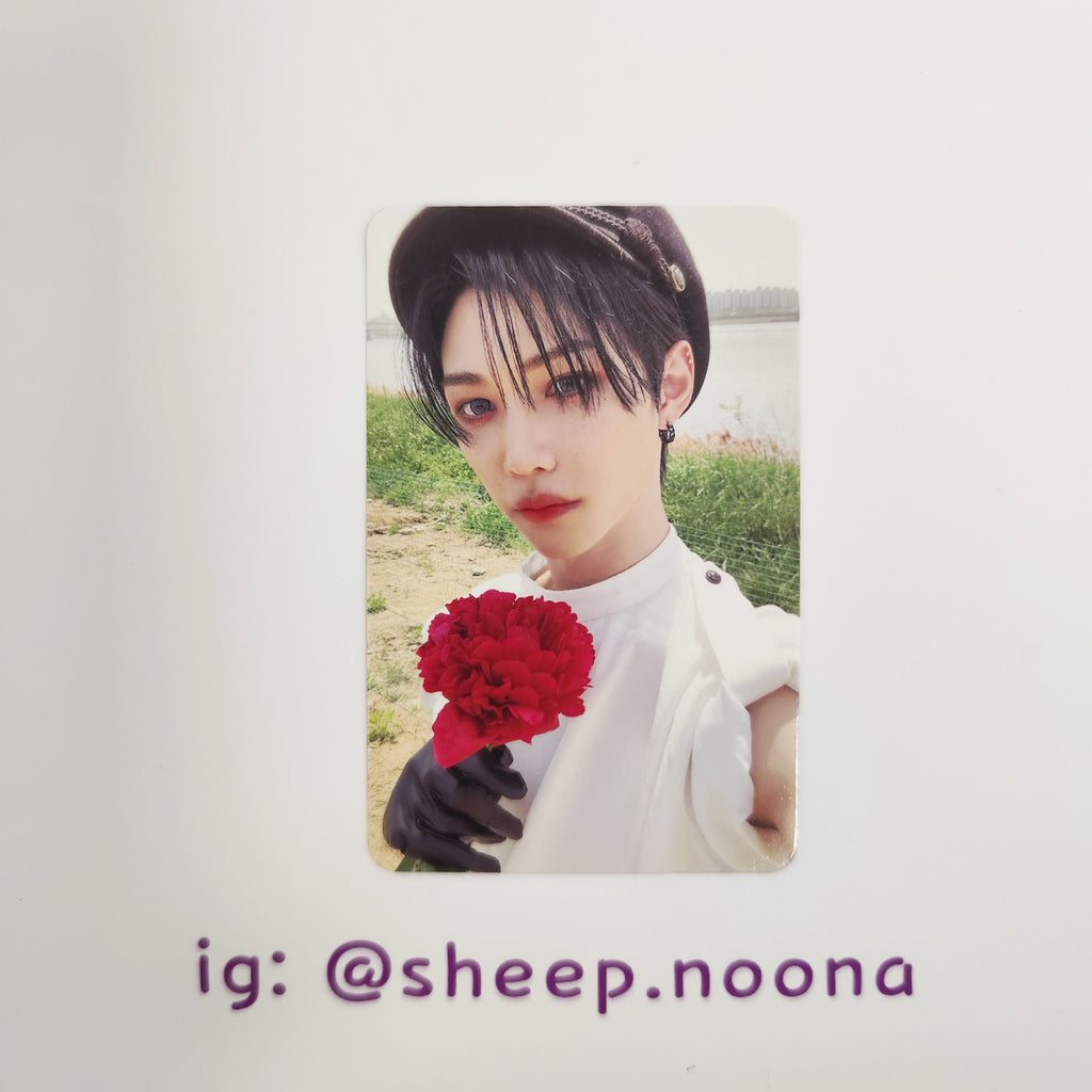 Photocards Felix SKZ