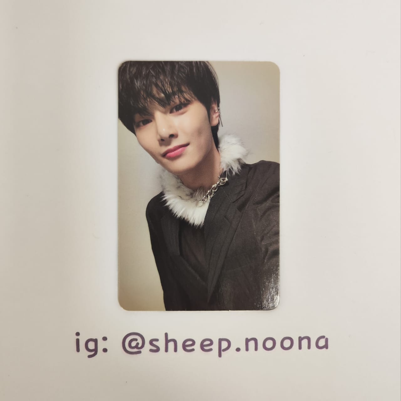 Photocards I.N. SKZ