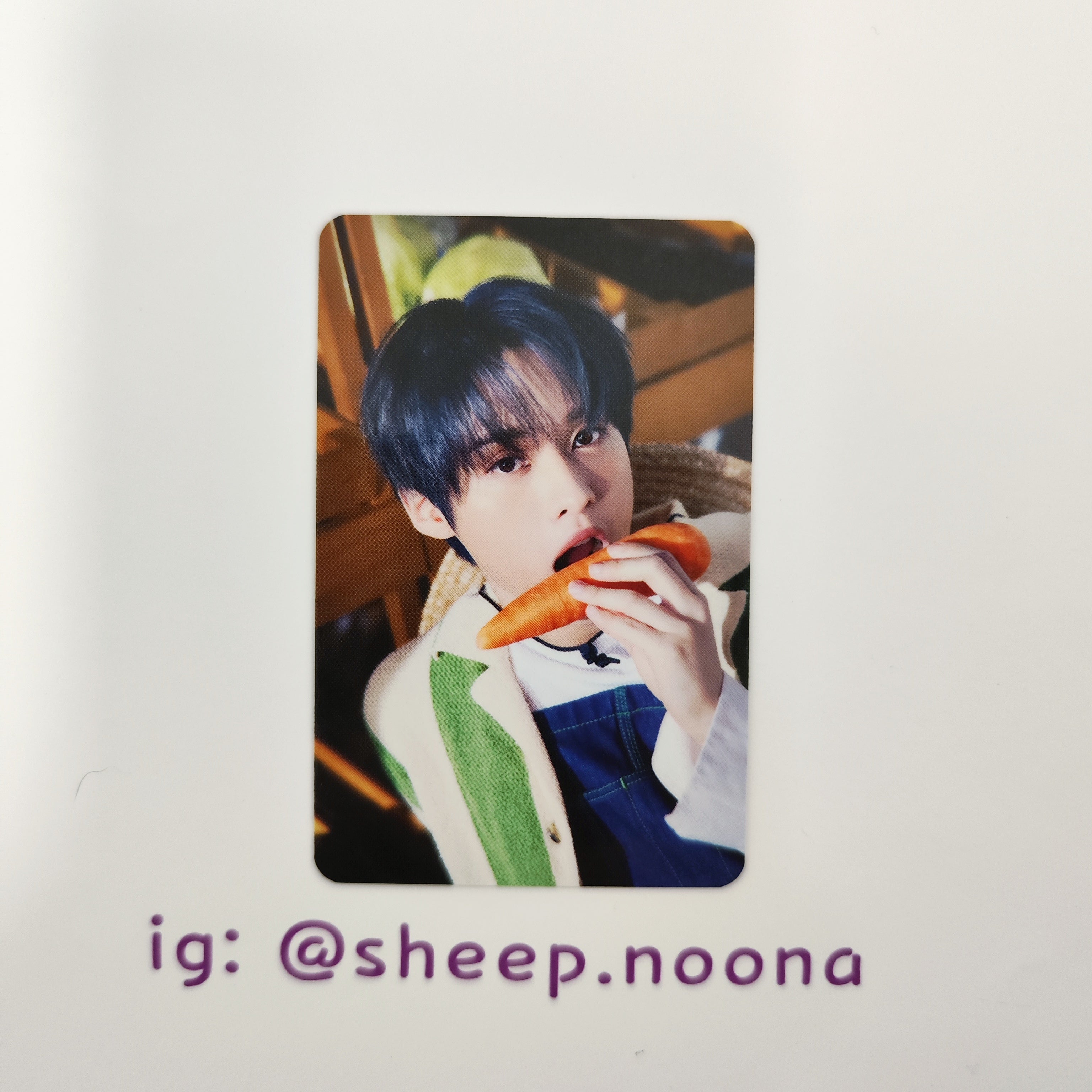 Photocards Lee Know SKZ
