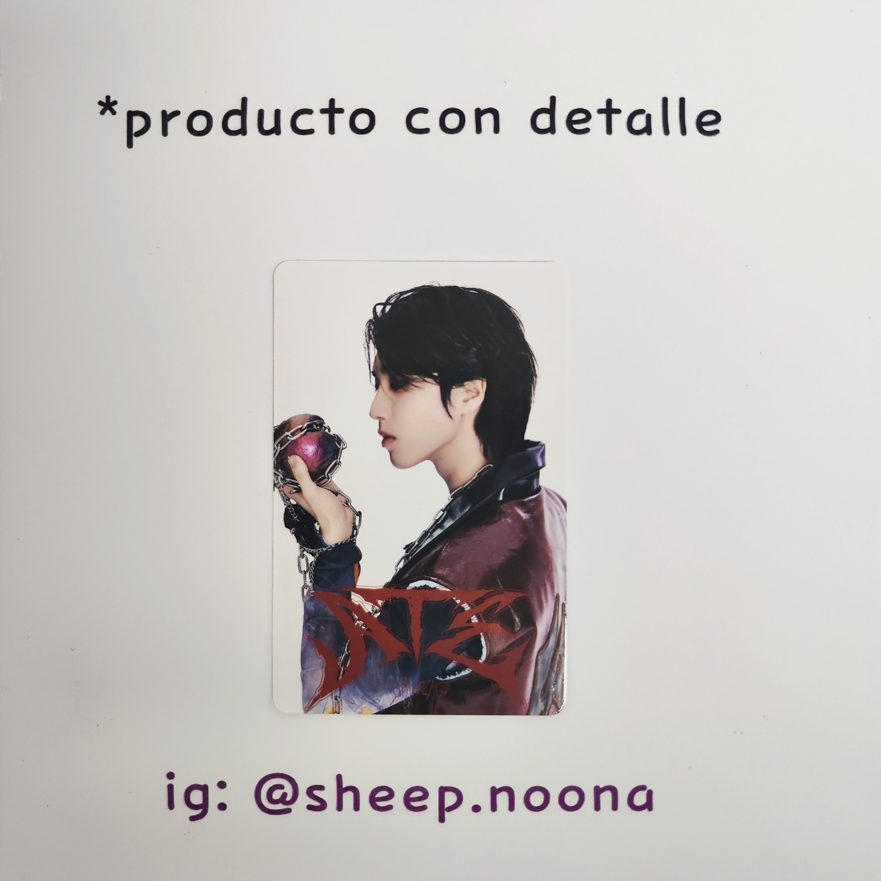 Photocards Han SKZ