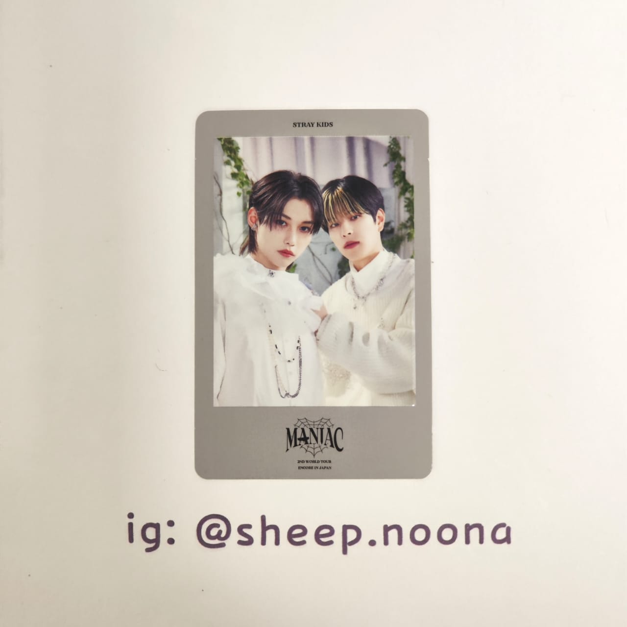 Photocards Units / Grupales SKZ