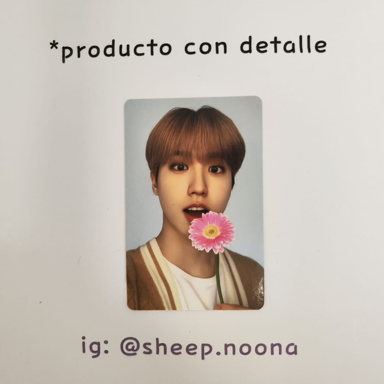 Photocards Han SKZ