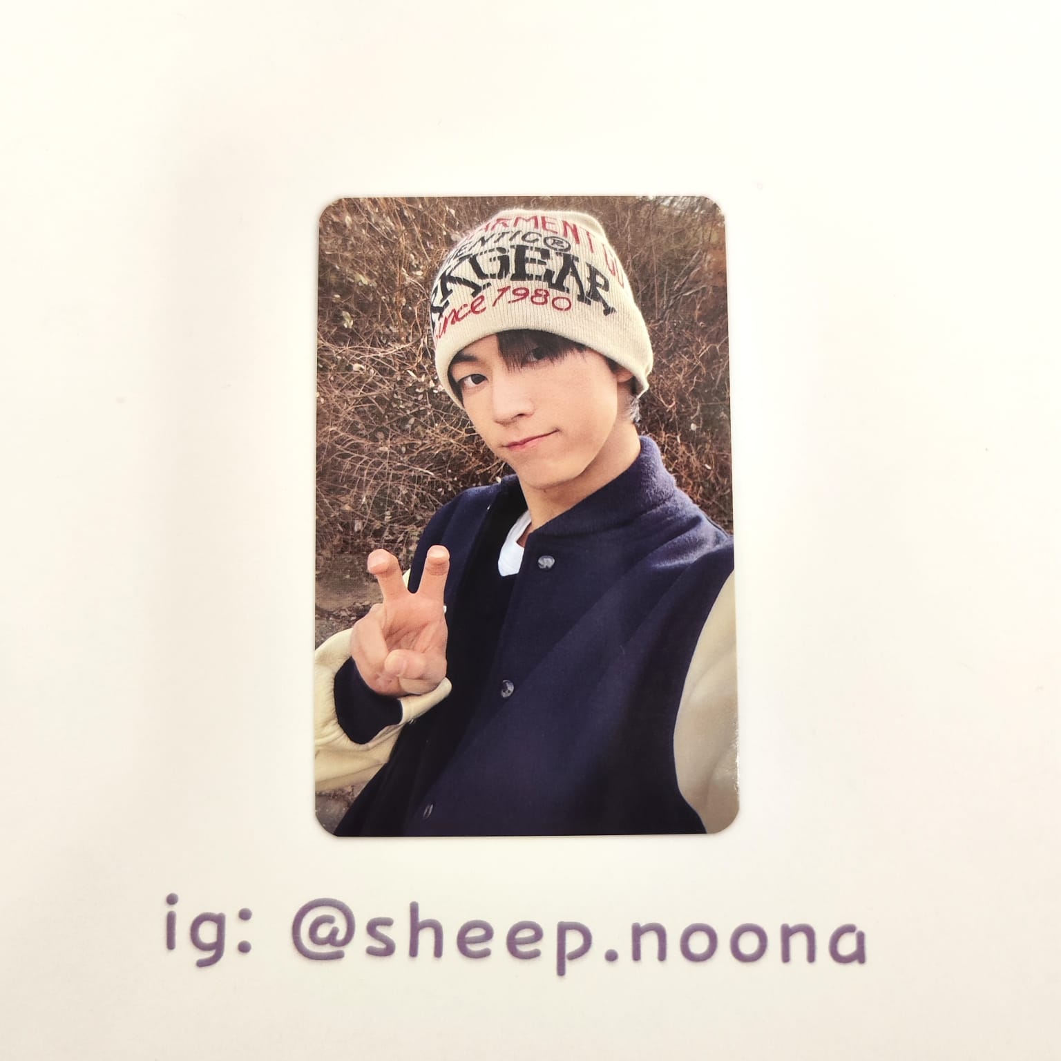 Photocards Dohoon TWS