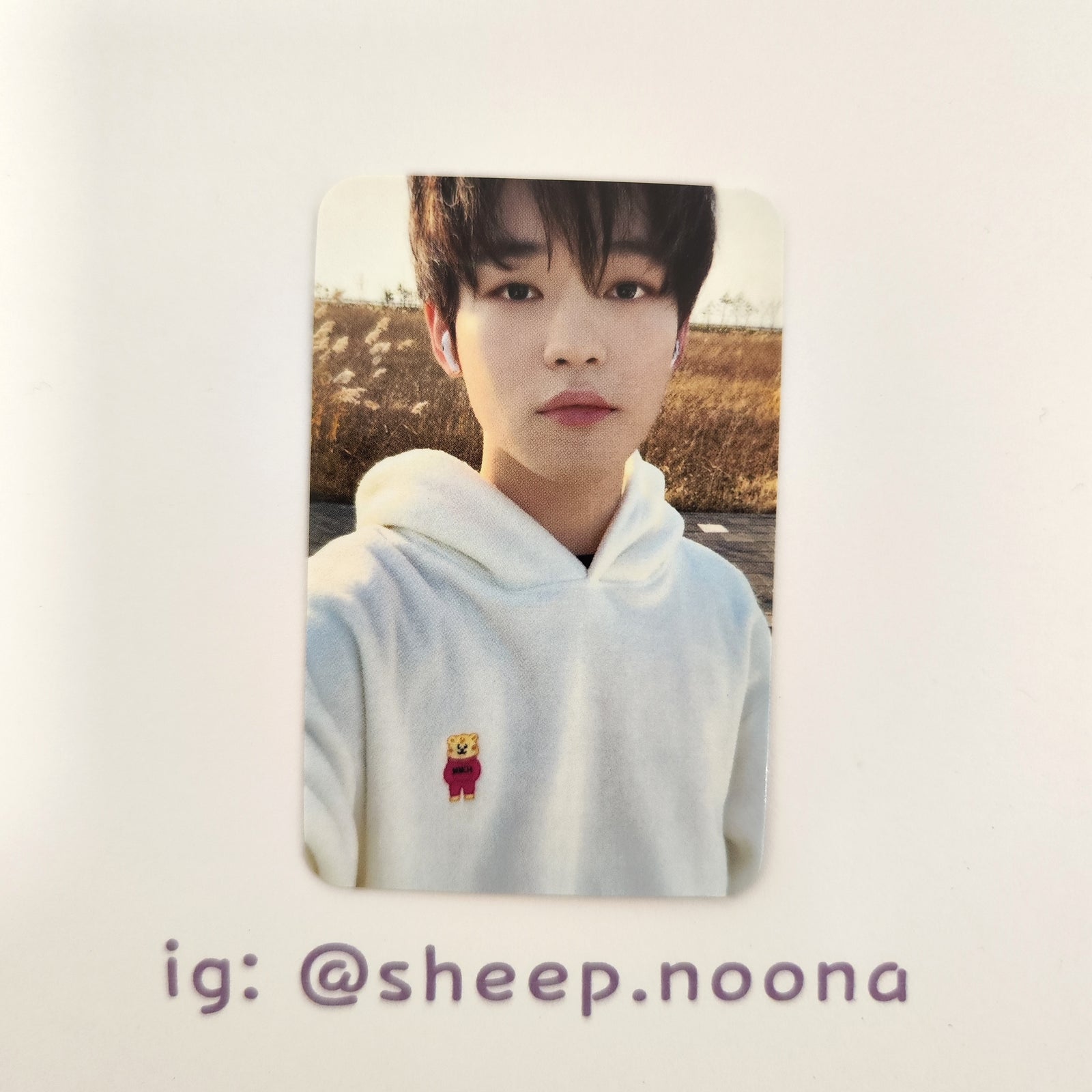 Photocards Chenle NCT Dream
