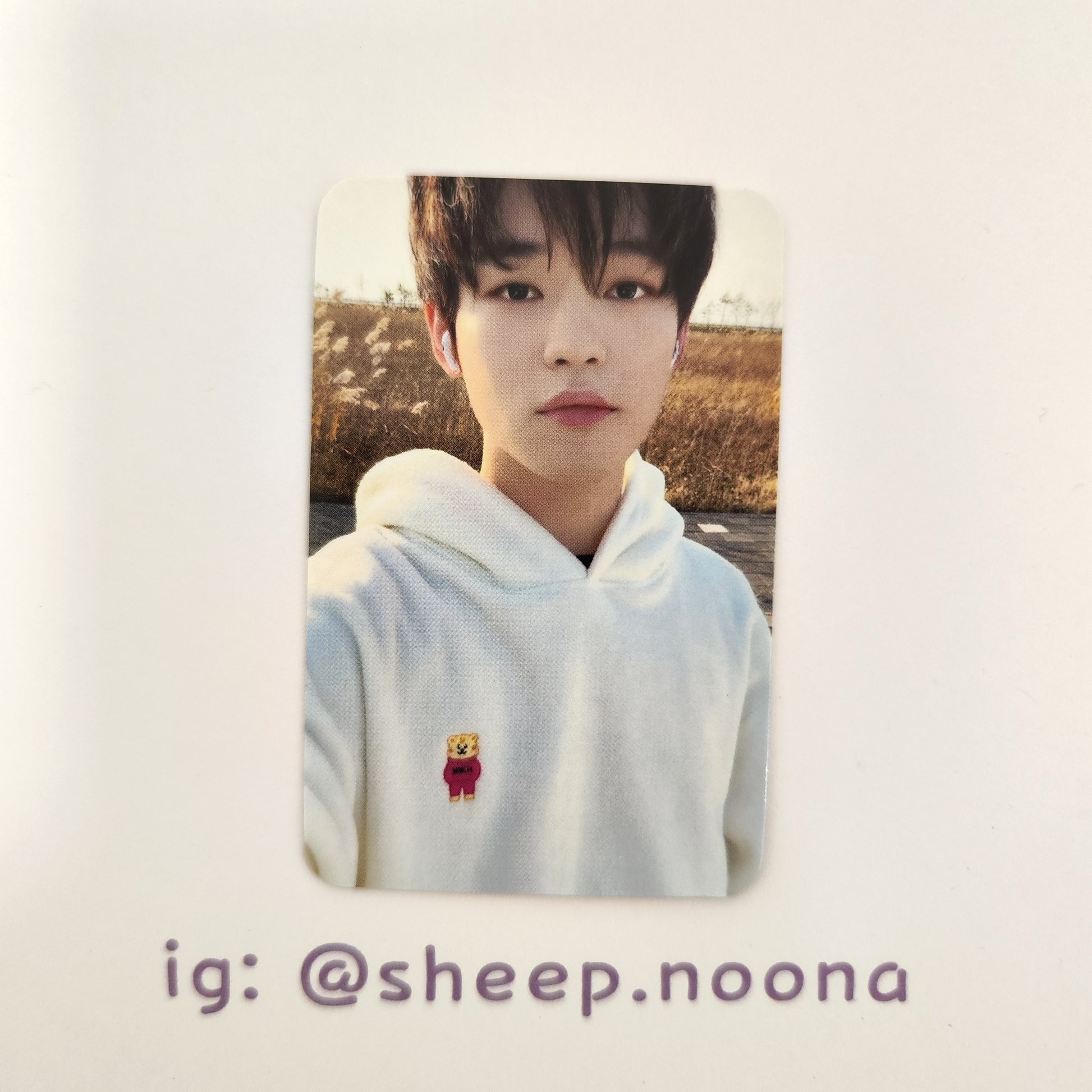 Photocards Chenle NCT Dream