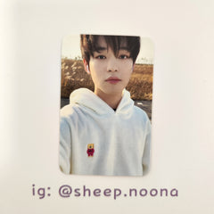Photocards Chenle NCT Dream