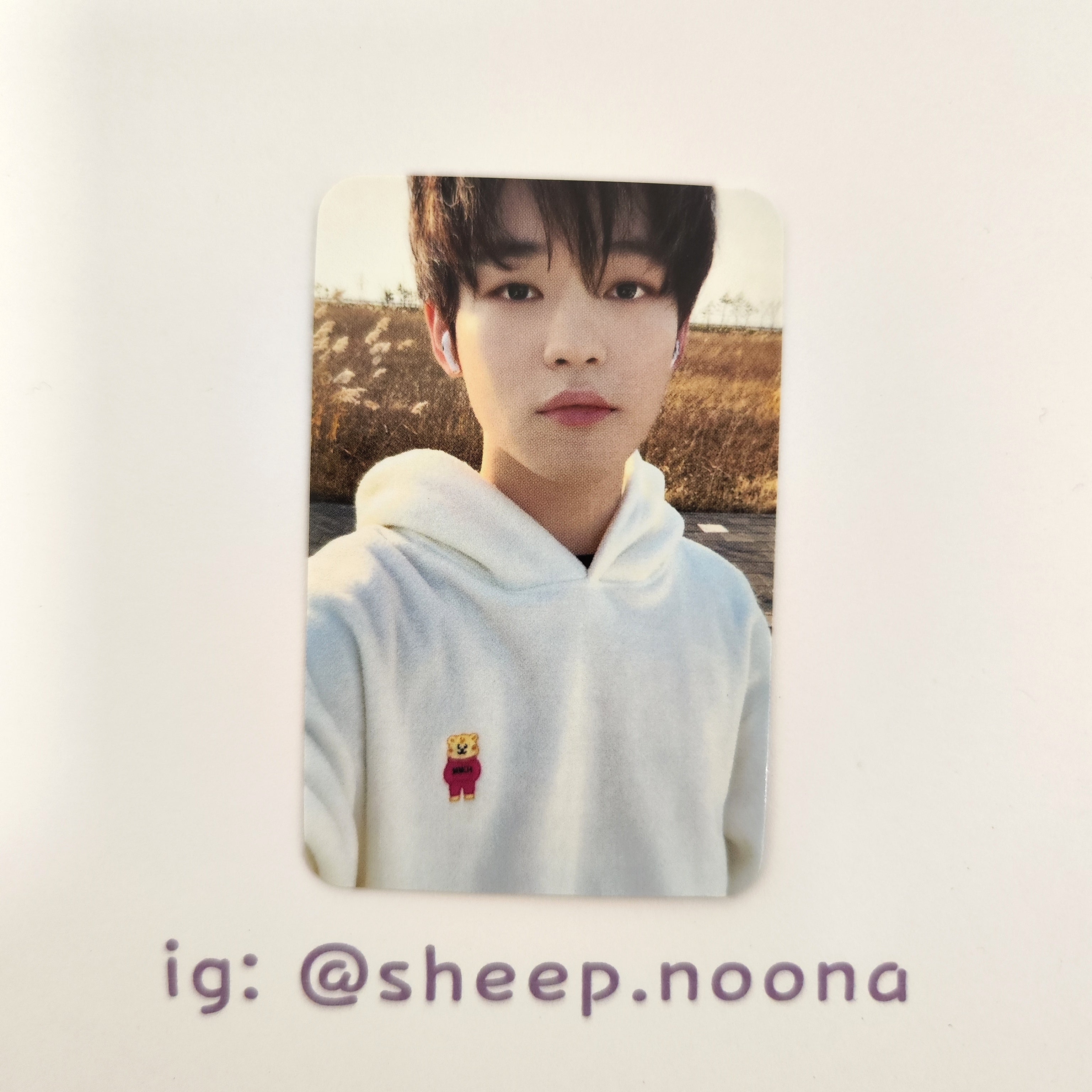 Photocards Chenle NCT Dream