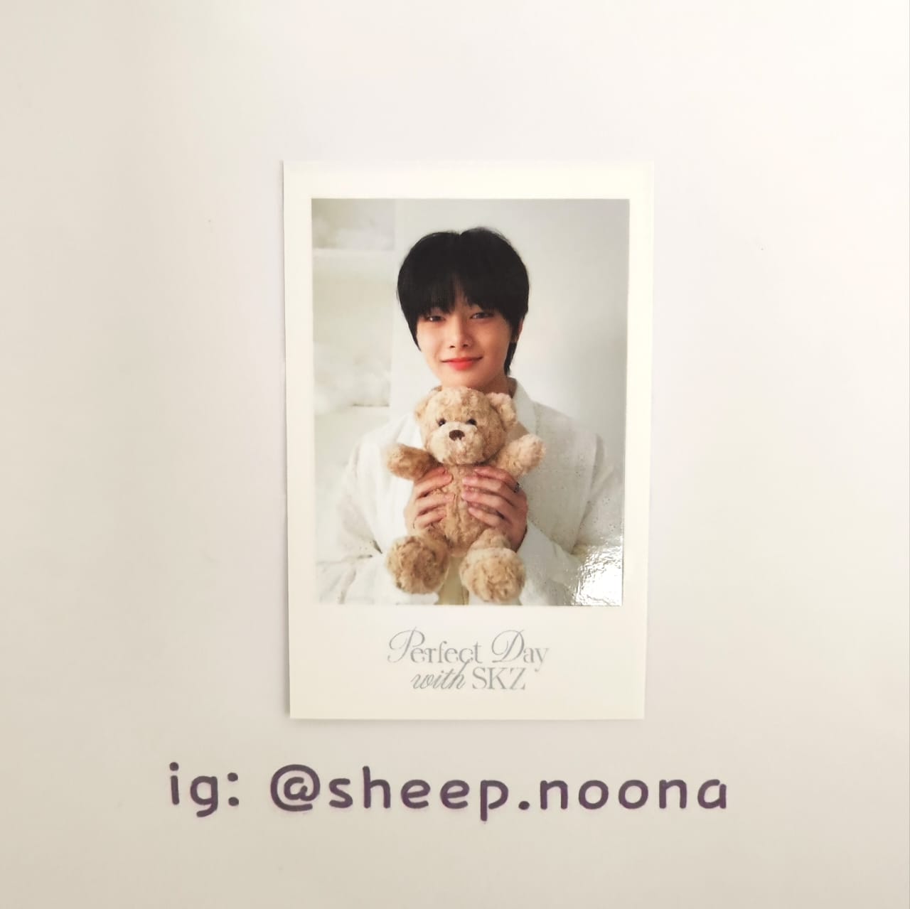 Photocards I.N. SKZ