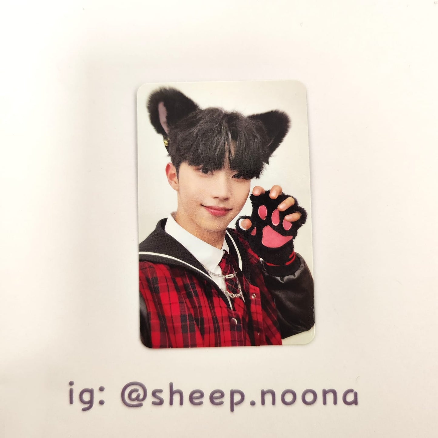 Photocards Xikers