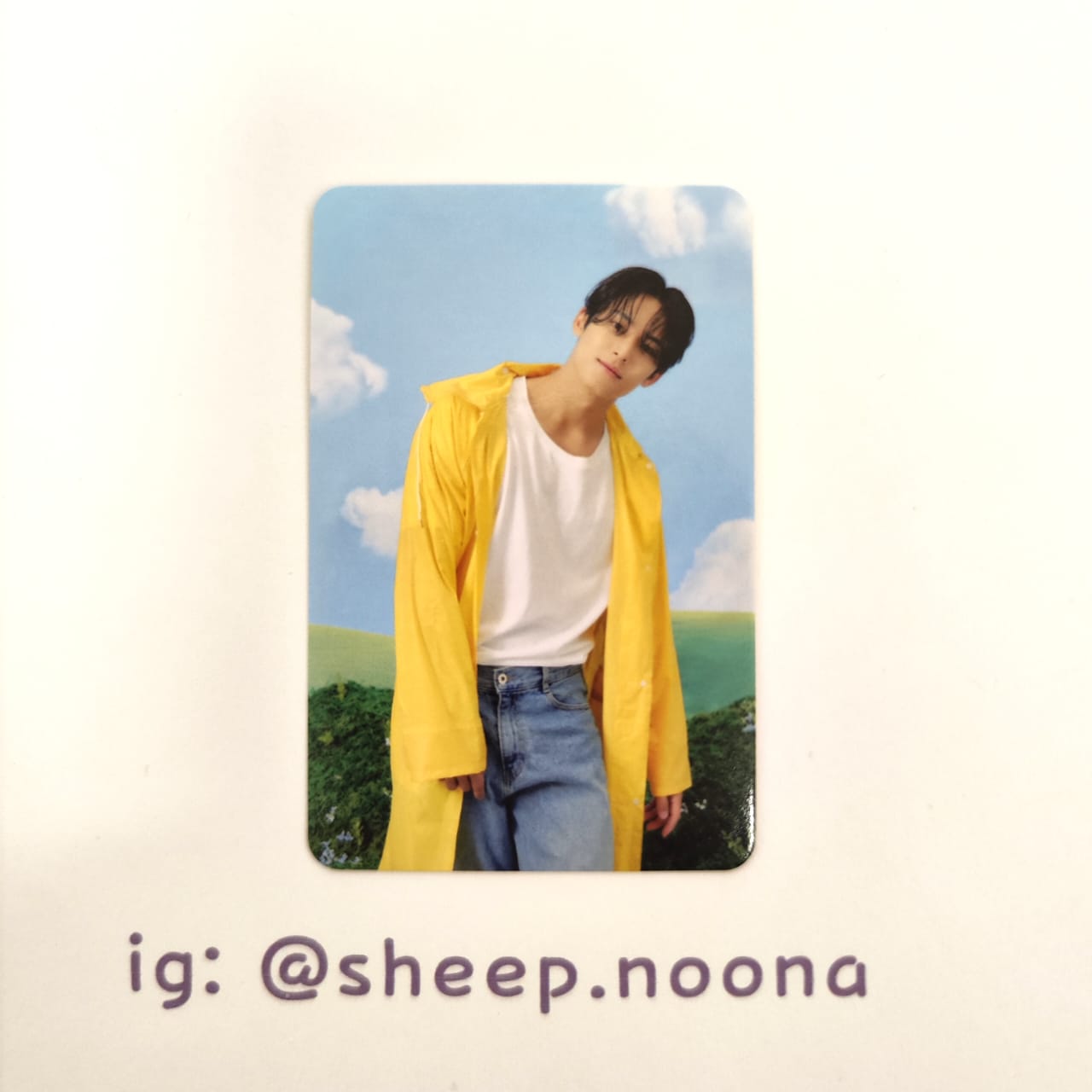 Photocards Mingyu Seventeen