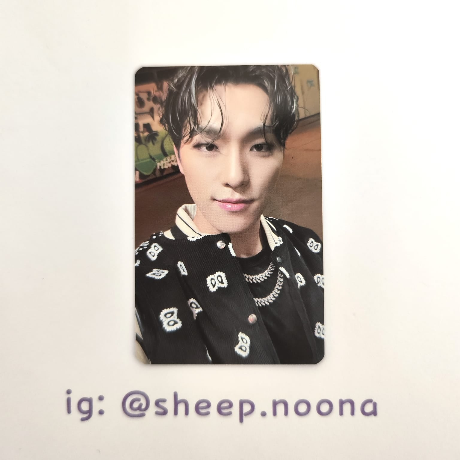 Photocards Dino Seventeen