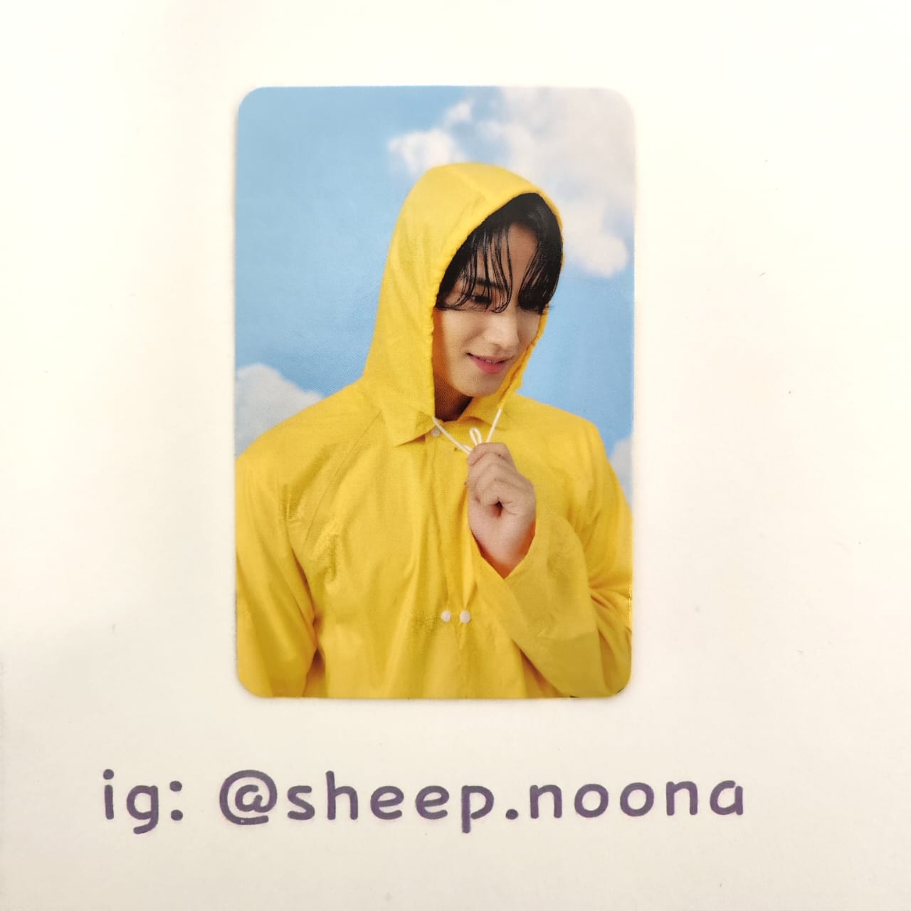 Photocards Mingyu Seventeen