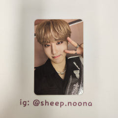 Photocards Han SKZ