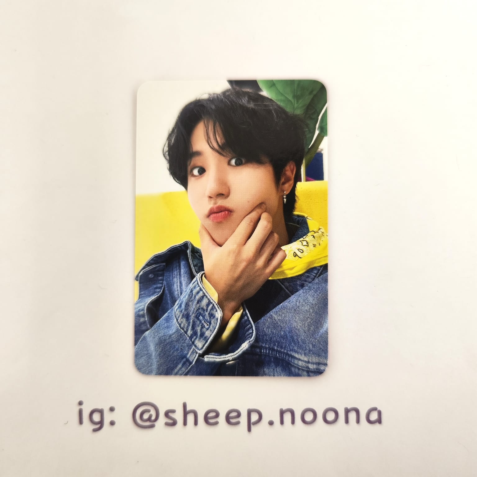 Photocards Han SKZ