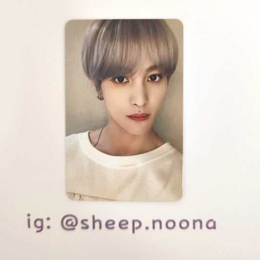 Photocards Yangyang Wayv