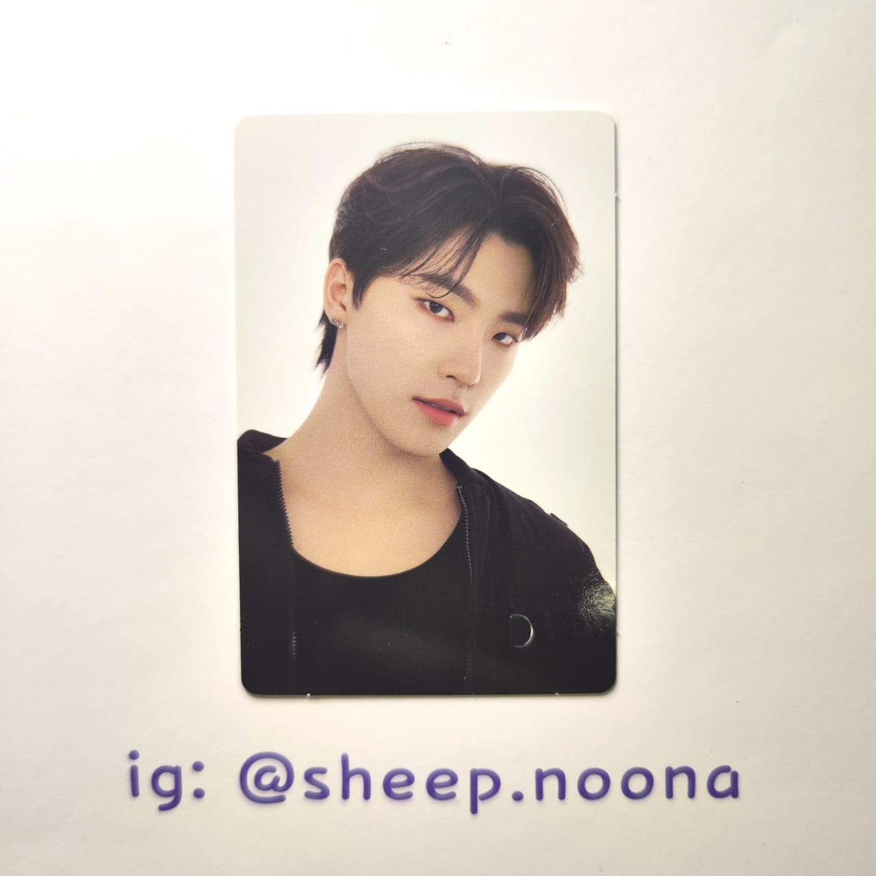 Photocards Dino Seventeen