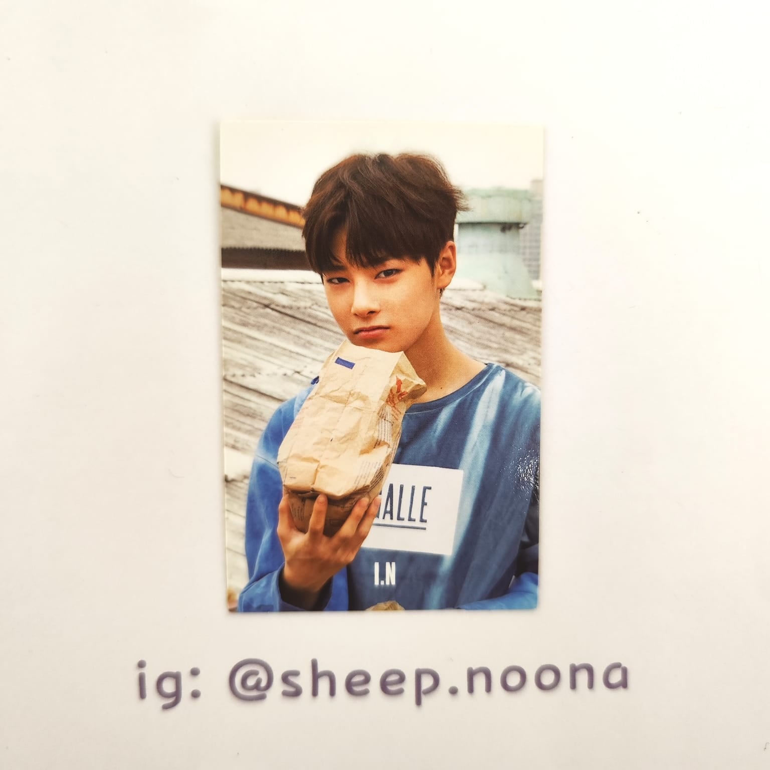 Photocards I.N. SKZ