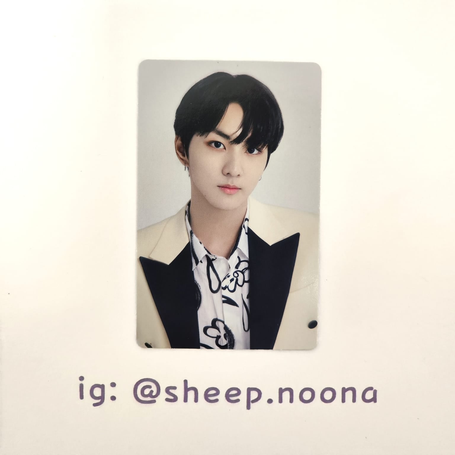 Photocards Jungwon Enhypen