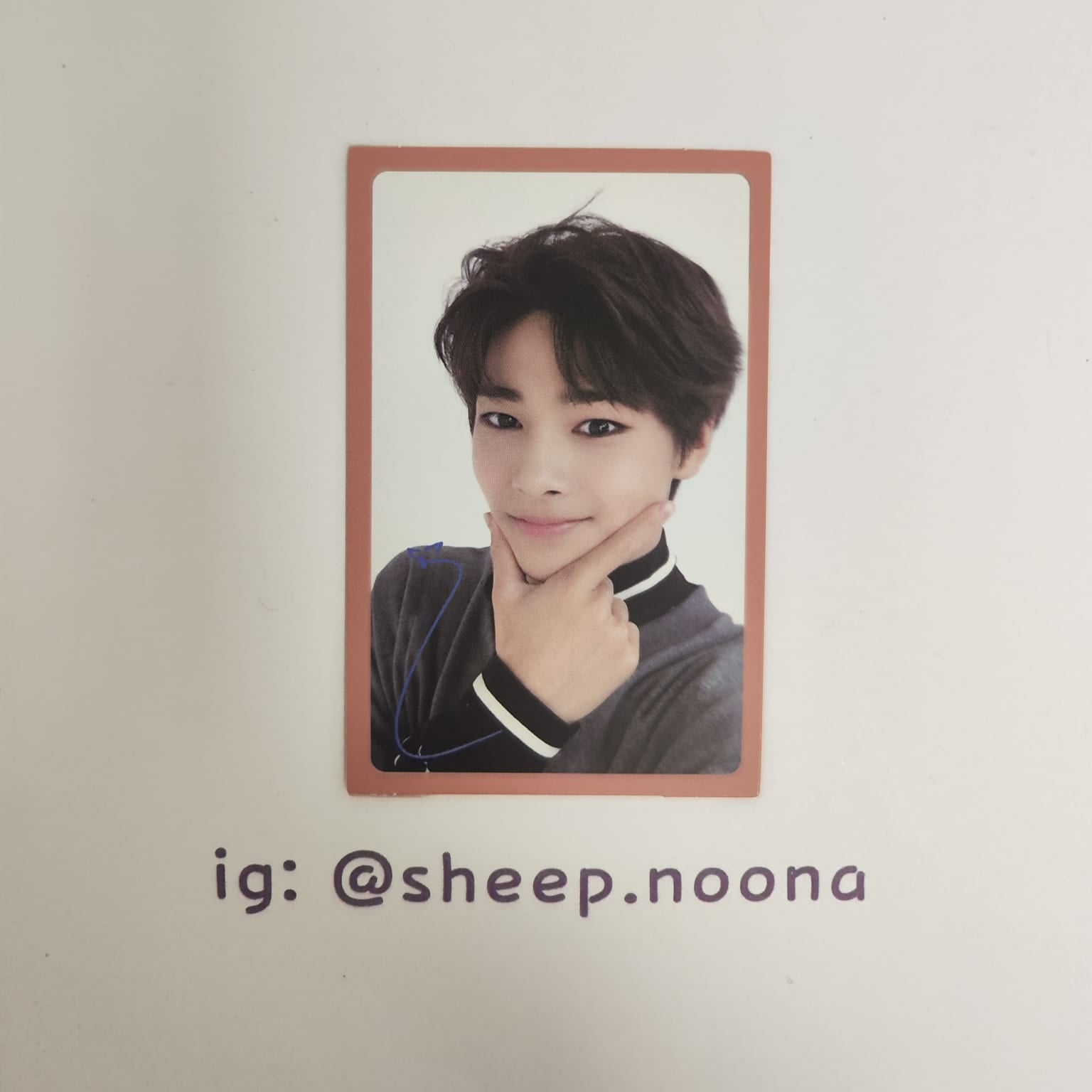 Photocards I.N. SKZ