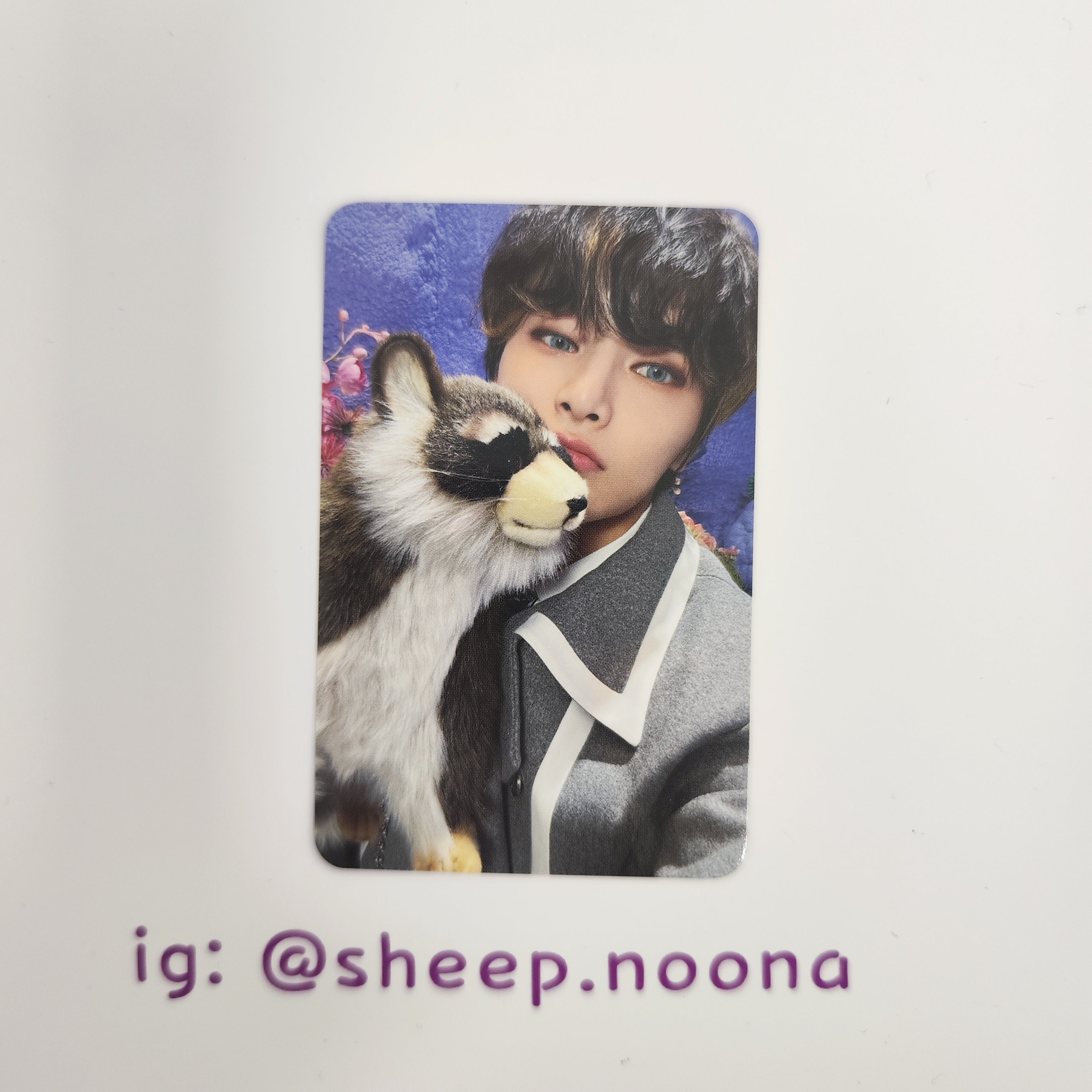 Photocards I.N. SKZ
