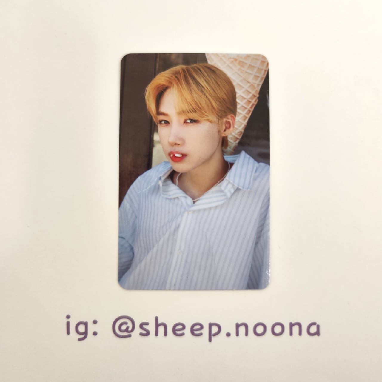 Photocards New The Boyz