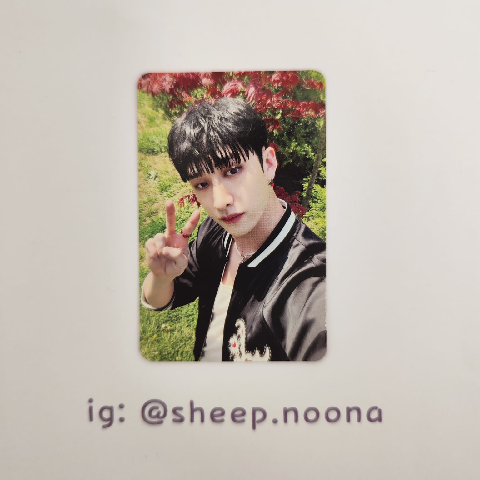 Photocards Bangchan SKZ