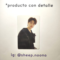Photocards Dino Seventeen