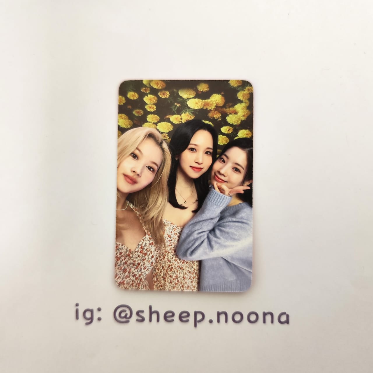 Photocards Units / Grupales Twice