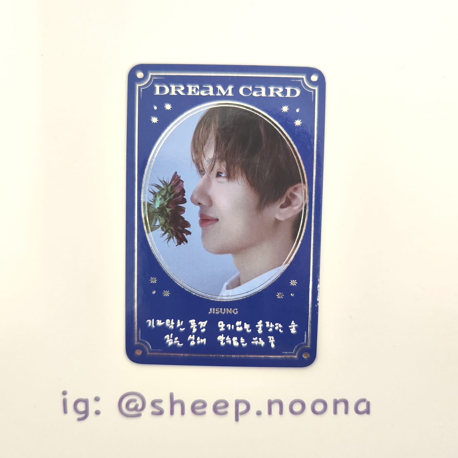 Photocards Jisung NCT Dream