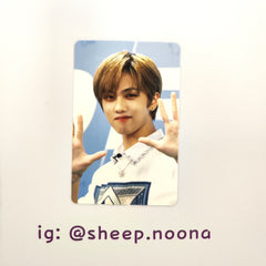 Photocards Jisung NCT Dream