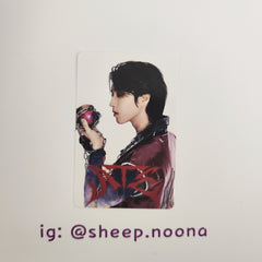 Photocards Han SKZ